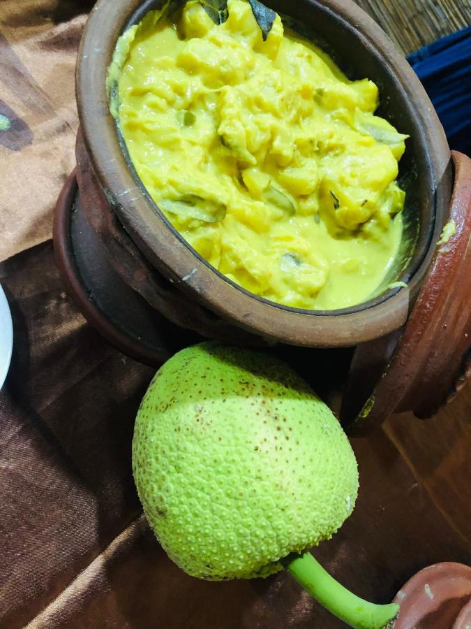 Ariya Rest&Ayurveda spa Polonnaruwa Dış mekan fotoğraf
